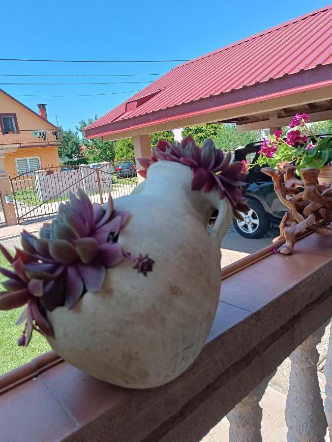 Ferienwohnung Calm Nest Nikšić Exterior foto