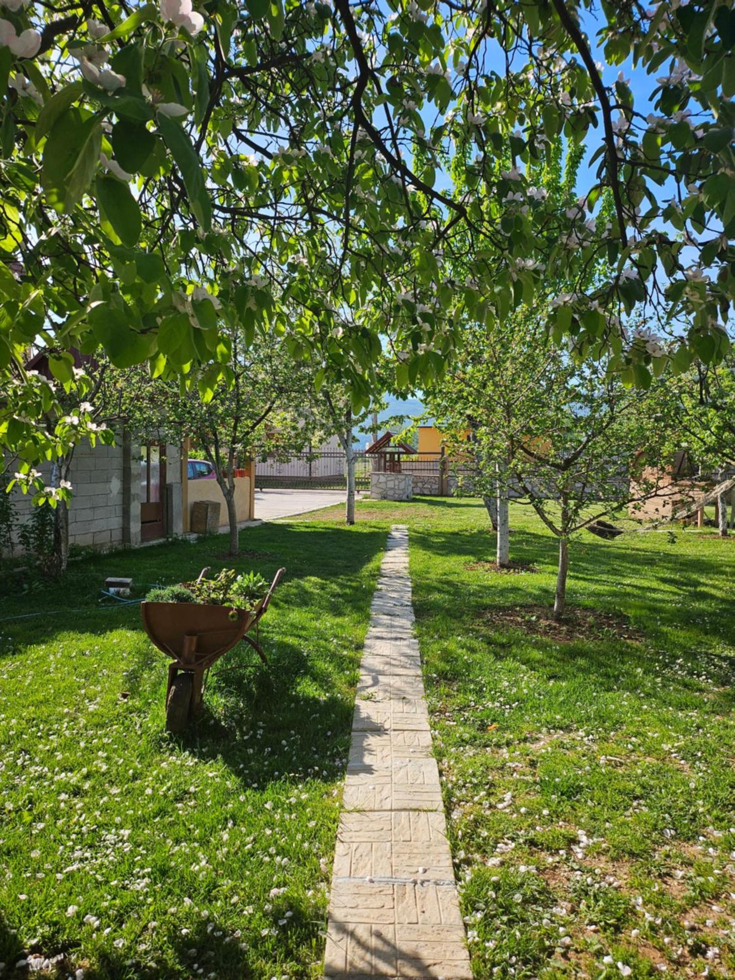 Ferienwohnung Calm Nest Nikšić Exterior foto
